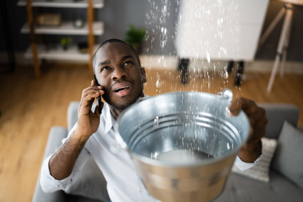 Best Water damage contractors near me  in Maryvle, IL