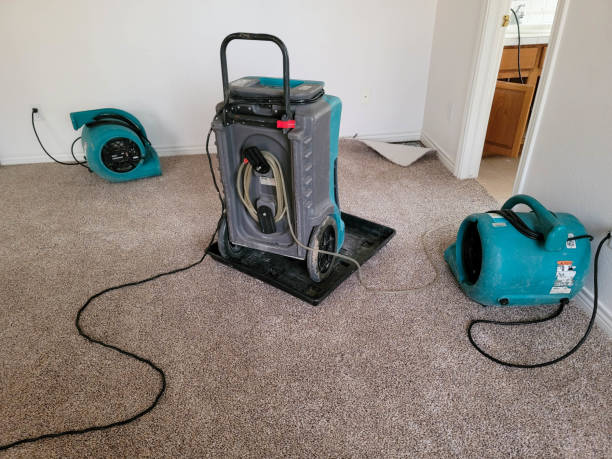 Best Professional water damage repair  in Maryvle, IL