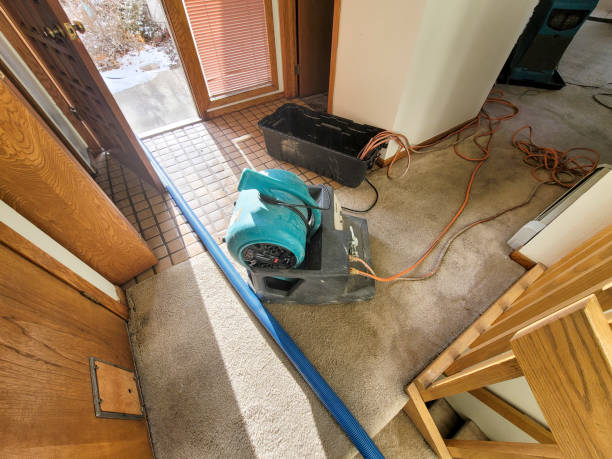  Maryvle, IL Water damage restoration Pros