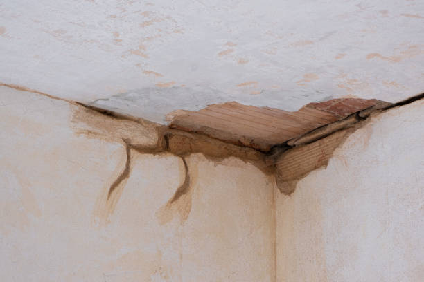 Best Flood restoration services  in Maryvle, IL