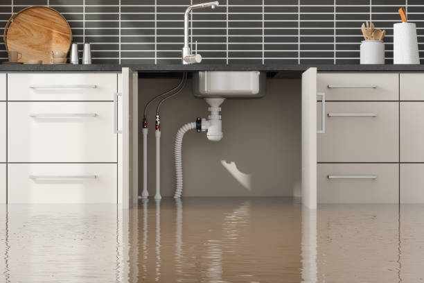 Best Ceiling water damage repair  in Maryvle, IL